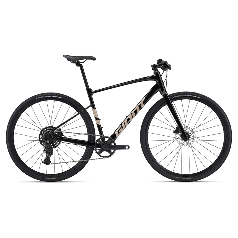 Giant Fastroad AR 2 (2024)