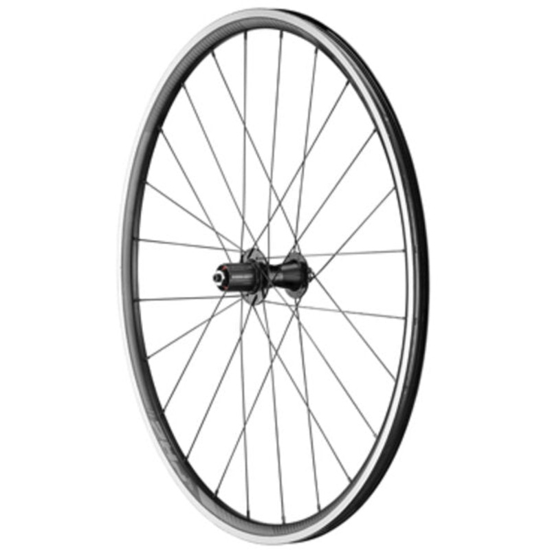 Giant P-R2 Rear Wheel